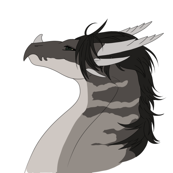 Dorosły Flat by Moran